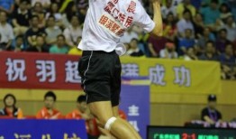 杨晨爆料视频最新版在线观看,揭秘事件真相，在线观看不容错过